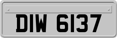 DIW6137