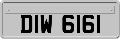 DIW6161