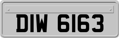 DIW6163
