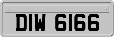 DIW6166