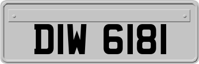 DIW6181