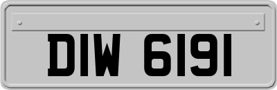 DIW6191