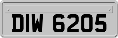 DIW6205