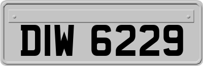 DIW6229