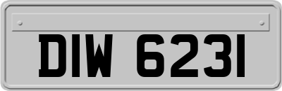 DIW6231