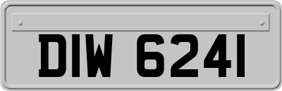 DIW6241