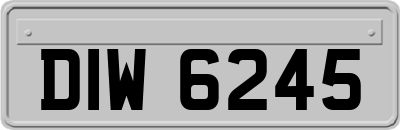 DIW6245