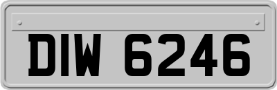 DIW6246
