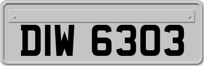 DIW6303