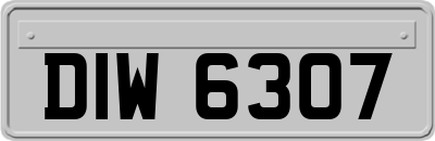 DIW6307