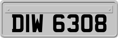 DIW6308