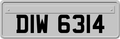 DIW6314