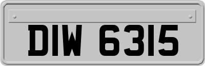 DIW6315