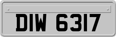 DIW6317