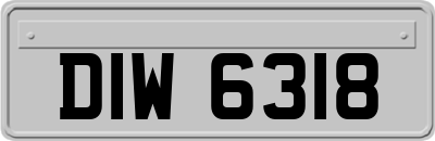 DIW6318