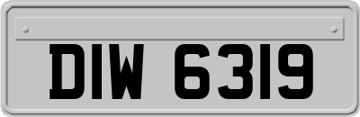 DIW6319