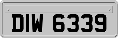 DIW6339