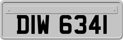 DIW6341