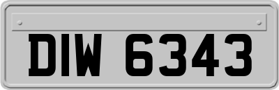 DIW6343
