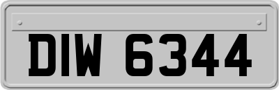 DIW6344