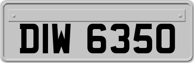 DIW6350