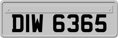 DIW6365