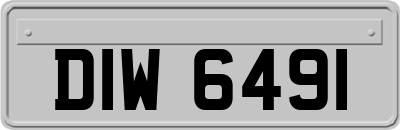 DIW6491