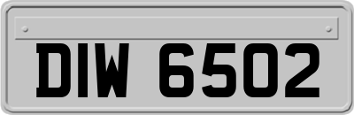 DIW6502