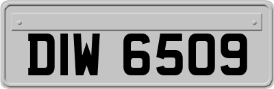 DIW6509