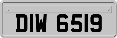 DIW6519