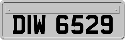 DIW6529
