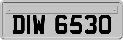 DIW6530