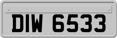 DIW6533