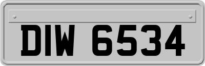 DIW6534