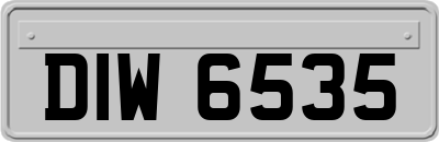 DIW6535