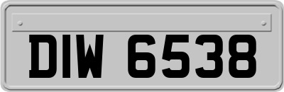 DIW6538