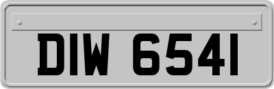 DIW6541