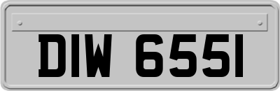 DIW6551
