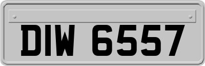 DIW6557