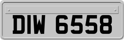 DIW6558