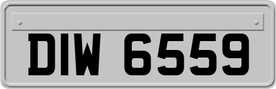 DIW6559