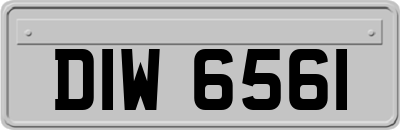 DIW6561