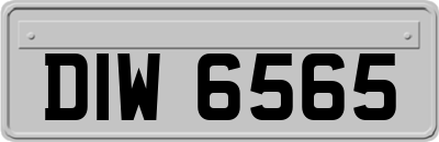 DIW6565