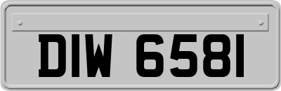 DIW6581