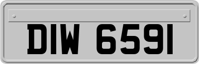 DIW6591