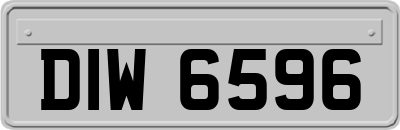 DIW6596