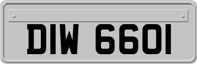 DIW6601