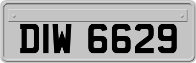 DIW6629