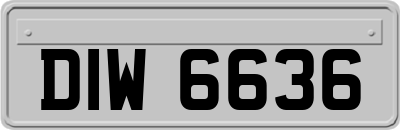 DIW6636