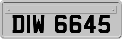 DIW6645